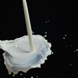 intolerance na mléko