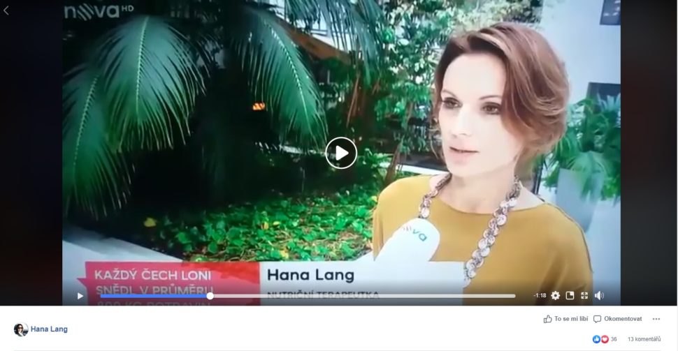 Hana Lang v Televizních novinách TV Nova